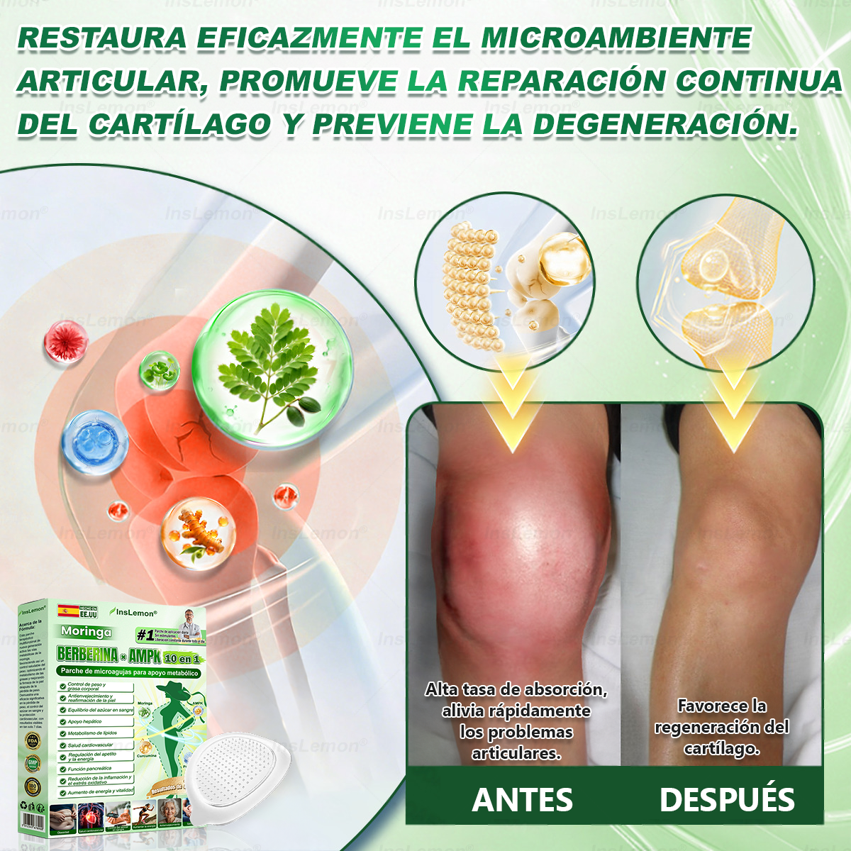 𝐈𝐧𝐬𝐋𝐞𝐦𝐨𝐧® 𝗠𝗼𝗿𝗶𝗻𝗴𝗮 × 𝗕𝗲𝗿𝗯𝗲𝗿𝗶𝗻𝗮 × 𝗔𝗠𝗣𝗞 𝟭𝟬-𝗶𝗻-𝟭 𝗣𝗮𝗿𝗰𝗵𝗲 𝗠𝗲𝘁𝗮𝗯𝗼𝗹𝗶𝗰𝗼 𝗱𝗲 𝗡𝗮𝗻𝗼 𝗠𝗶𝗰𝗿𝗼𝗮𝗴𝗵𝗮 (🇪🇸 Solo una vez al día, cambios visibles en 7 días) ✅ Para sobrepeso, diabetes, apnea del sueño, problemas articulares y más.